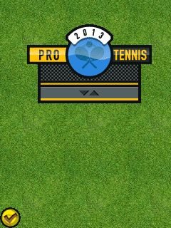 game pic for Pro tennis 2013